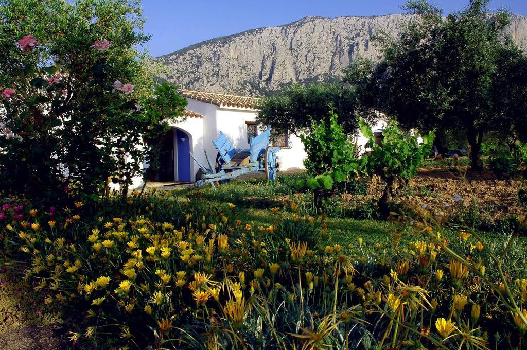 Agriturismo Guthiddai Oliena Exterior foto
